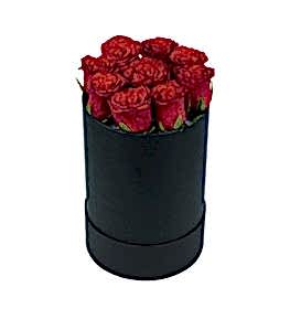 Silindir Kutuda K�rm�z� G�l