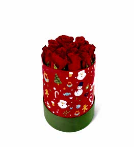 Y�lba�� Kutusunda G�ller