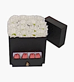 Kare Kutuda Papatyalar Makaronlar