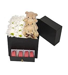 Papatyalar Ay�c�klar Makaronlar