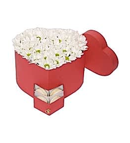 Kalp Kutuda Papatyalar Makaronlar