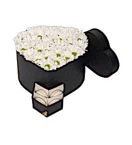 Beyaz Papatyalar Makaronlar