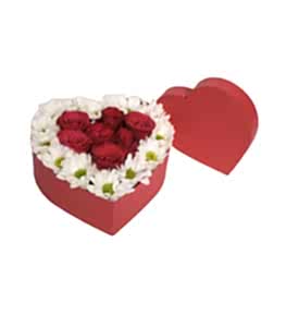 Kutuda K�rm�z� G�ller Papatyalar