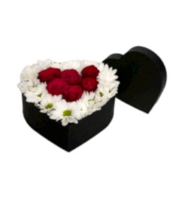 Papatyalar K�rm�z� G�ller