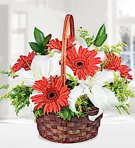 Gerbera ve Lilyum Sepeti