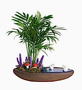 Teraryumda Mini �amadora Bah�esi