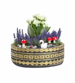 Antik Desenli Saks�da Beyaz Kalan�o Teraryum