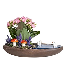 Kay�k Saks�da Pembe Kalan�o Teraryum