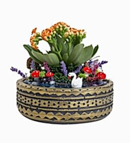 Antik Desenli Saks�da Mini Kalan�o Teraryum