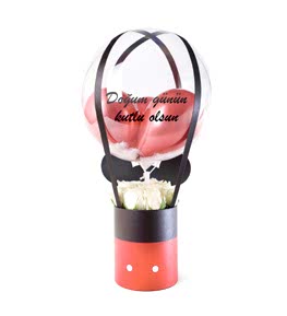 Micky Kutuda G�ller ve Balonlar