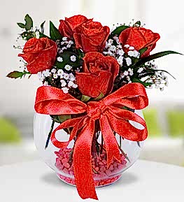 Akvaryumda K�rm�z� G�l