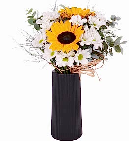 Siyah Vazoda Ay�i�e�i ve Papatya