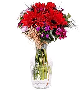 K�rm�z� Gerbera ve H�sn�yusuf Aranjman�