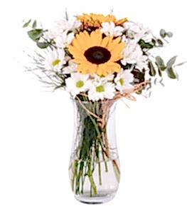 Vazoda Ay�i�e�i ve Papatyalar