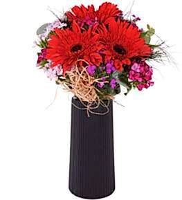 Siyah Vazoda Gerbera ve H�sn�yusuflar