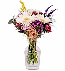 Vazoda H�sn�yusuf ve Beyaz Gerbera