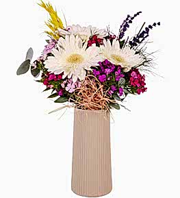 Bej Vazoda Gerbera ve H�sn�yusuflar