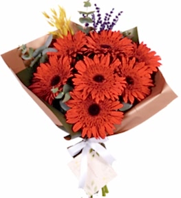 Red Garden Gerbera Buketi