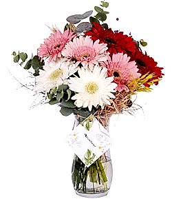 Renkli Gerbera Vazosu