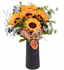 G�n G�zeli Ay�i�ekleri Vazosu