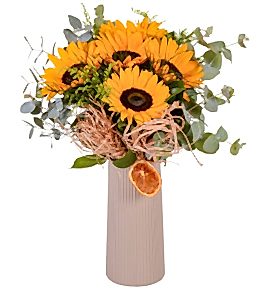 Vazoda G�ne Bakan Ay�i�ekleri