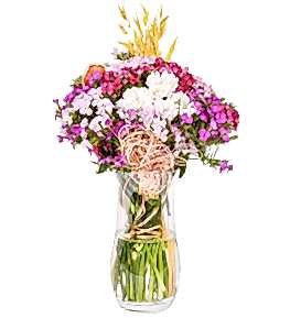 Renkli H�sn�yusuf ve Papatya