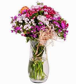 Renk Karnaval� H�sn�yusuflar