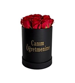 Can�m ��retmenime K�rm�z� G�ller