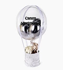 Can�m ��retmenim G�l Kutusu