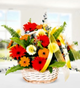 Sepette Renkli Gerberalar