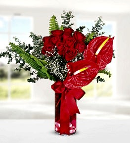 Vazoda K�rm�z� G�l Antoryum