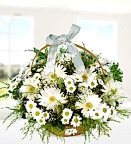 Sepette Gerbera ve Krizantemler