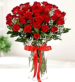 Vazoda 33 K�rm�z� G�l