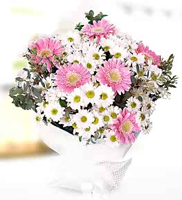 Papatya ve Gerbera Buketi