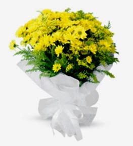 Sar� Papatya Buketi