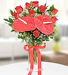 Vazoda K�rm�z� G�ller ve Antoryum