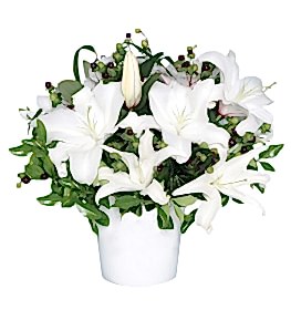 Seramikte Beyaz Lilyumlar