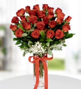 Vazoda 25 K�rm�z� G�l