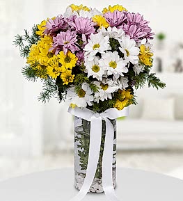 Vazoda Renkli Papatyalar