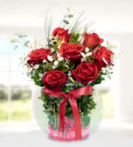 Akvaryumda K�rm�z� G�ller