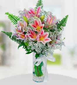 Pembe Lilyum �i�e�i