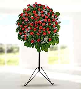 K�rm�z� G�l Ferforje