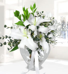 Kalp Vazoda Lilyumlar