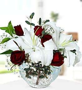 Akvaryumda Lilyum K�rm�z� G�l