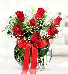 Akvaryumda 7 K�rm�z� G�l