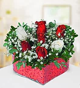 Kalpte Renkli G�ller