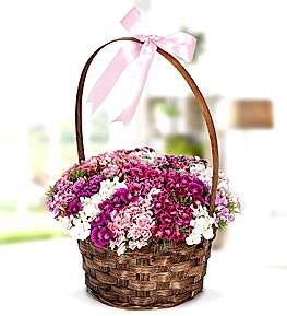 H�sn�yusuf �i�e�i Sepeti