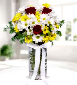 Renkli Papatyalar K�rm�z� G�ller