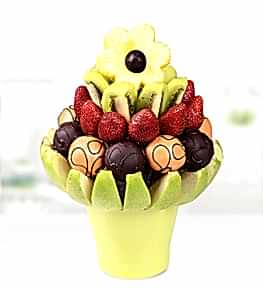 �i�ek �ikolata