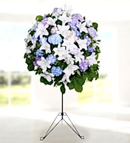 Lilyum ve Ortanca Ferforje